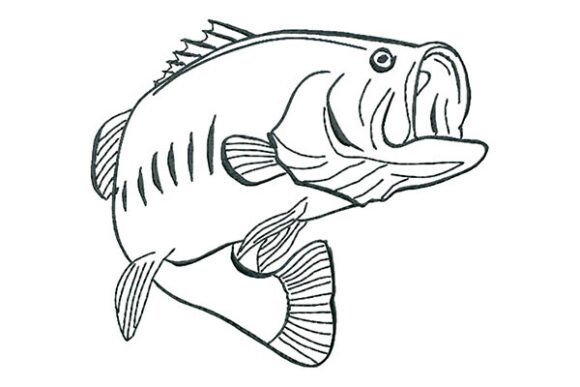 Bass Fish Calligraphy Style Embroidery
